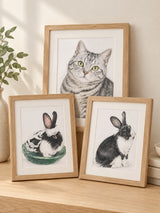 Custom Hand-Drawn Coloured Pencil Pet Portrait – cat small pet gallery