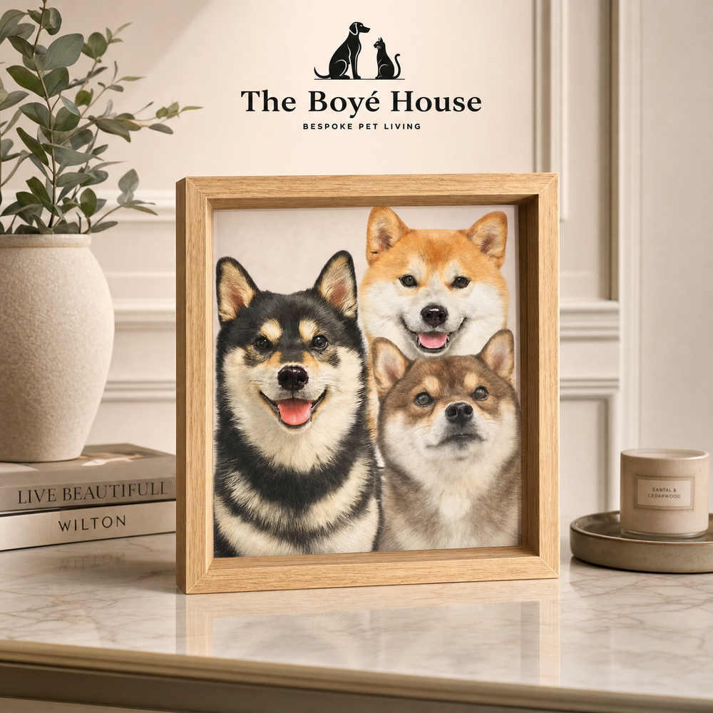 Handcrafted 3D Pet Plaque | Personalised Shadow Box Keepsake Gift