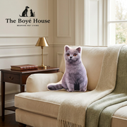 The Regal Pet Portrait Velvet Pillow | Custom Renaissance Oil Painting Cushion